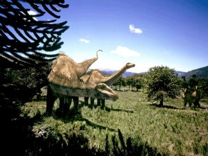 Des dinosaures Diplodocus. Des dinosaures ont-ils survécu à la chute de la météorite ?