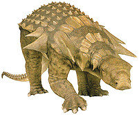 edmontonia.