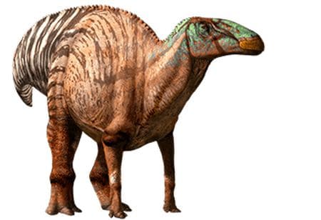 Dinosaure Edmontosaure.