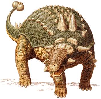 euoplocephalus.