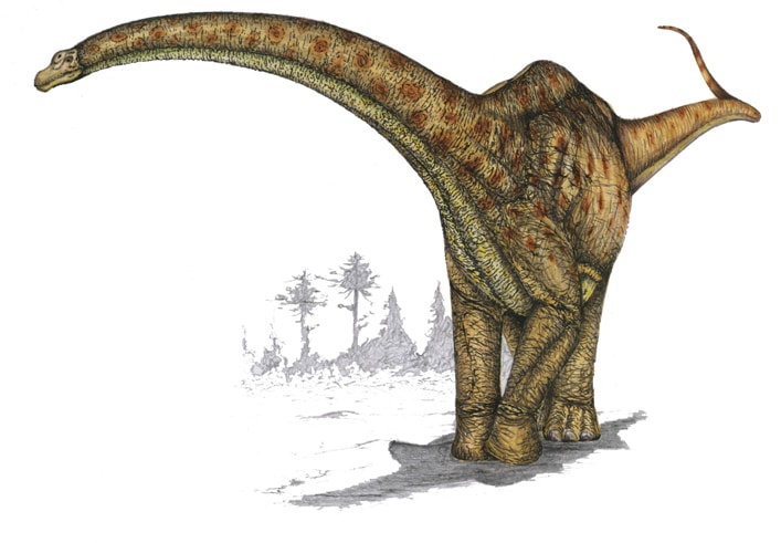 futalongkosaurus.