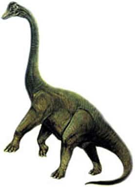 giraffatitan.