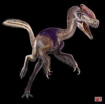 Dinosaure Guanlong.