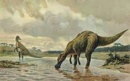 Dinosaure Hadrosaurus.