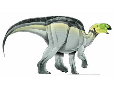 Image d'Hadrosaurus.