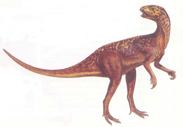 heterodontosaurus.