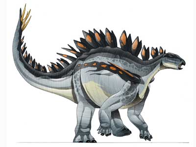 huayangosaurus.