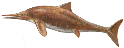 Ichthyosaurus.