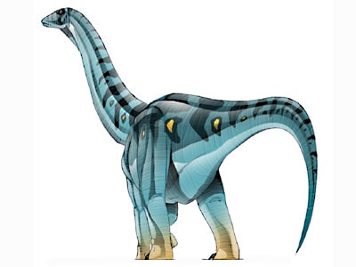 jainosaurus.