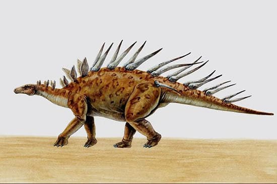 kentrosaurus.