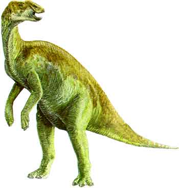 kritosaurus.