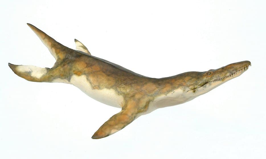 kronosaurus.