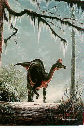 lambeosaurus.