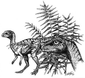 leaellynasaura.