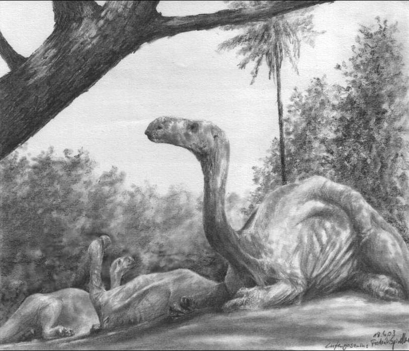 lufengosaurus.
