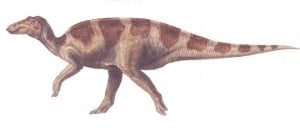 Le dinosaure Maiasaura.
