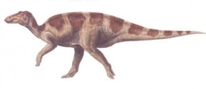  Le dinosaure Maiasaura.