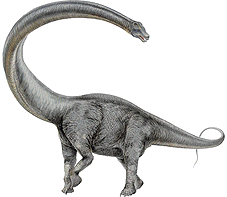 mamenchisaurus.