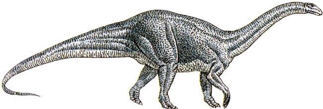 Le dinosaure Melanorosaurus.