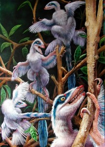 Un groupe de dinosaures à plumes Microraptor.