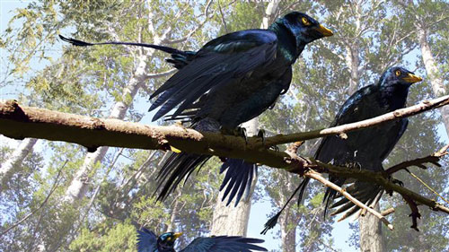 Reconstitution scientifique moderne de Microraptor, avec des plumes noires.