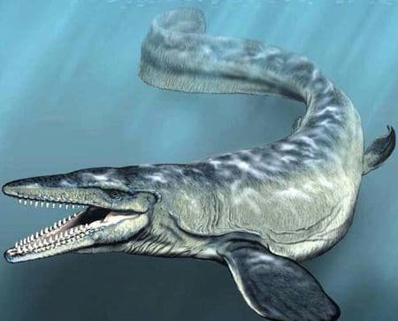 Le reptile marin Mosasaurus.