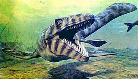 Mosasaurus.