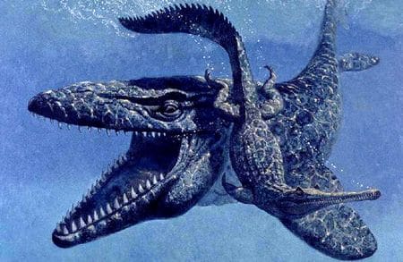 Mosasaurus (Mosasaure) : fiche de ce reptile marin