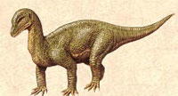 Le dinosaure Mussaurus.