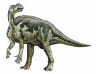 Le dinosaure Muttaburrasaurus.