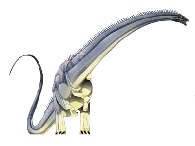 nigersaurus.