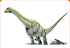 ohmdenosaurus.