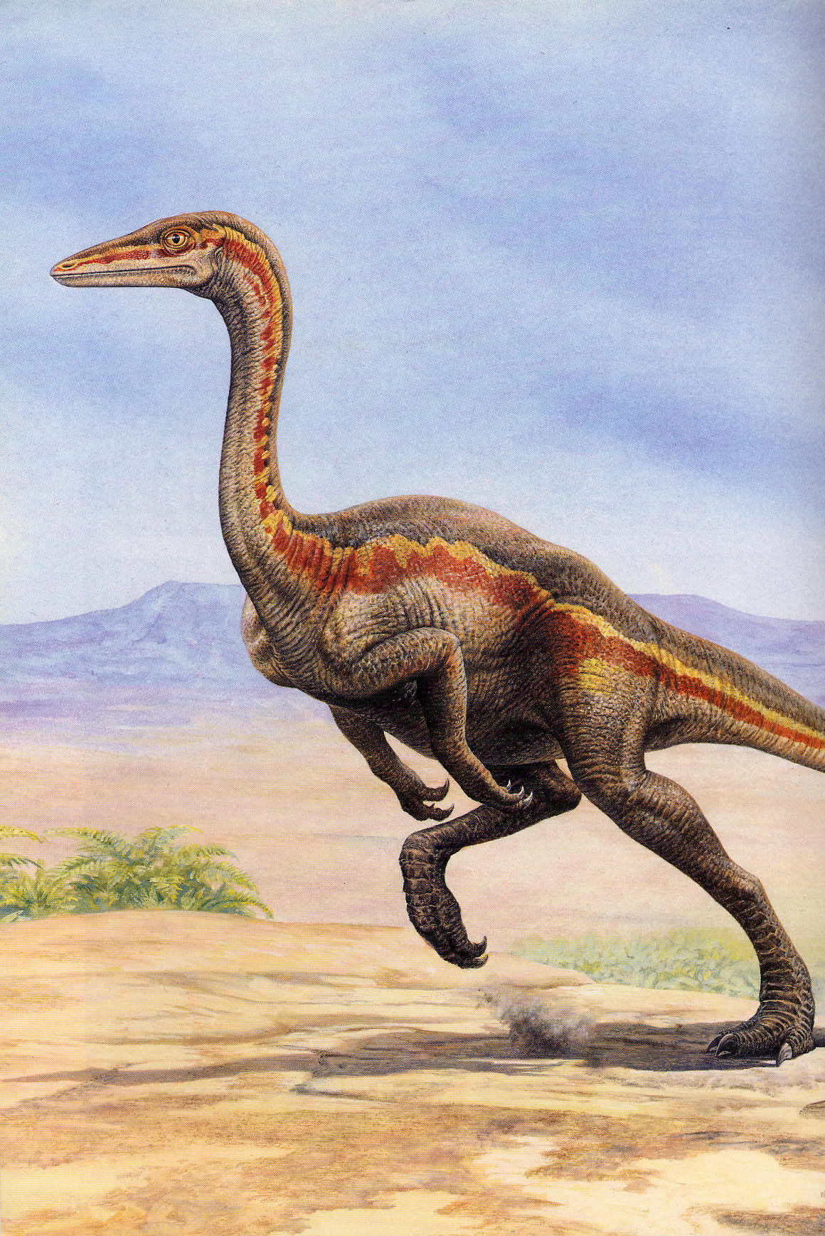 ornithomimus.