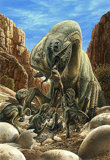 Oviraptor s'occupant de ses petits.