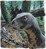 qantassaurus.