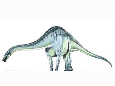 quaesitosaurus.