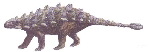 talarurus.