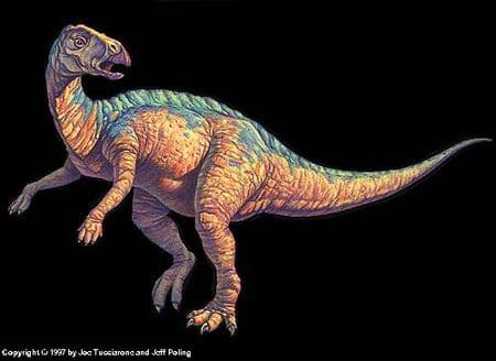 Tenontosaurus.