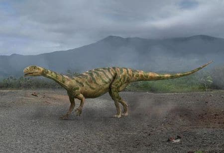 Dinosaure Thecodontosaurus.