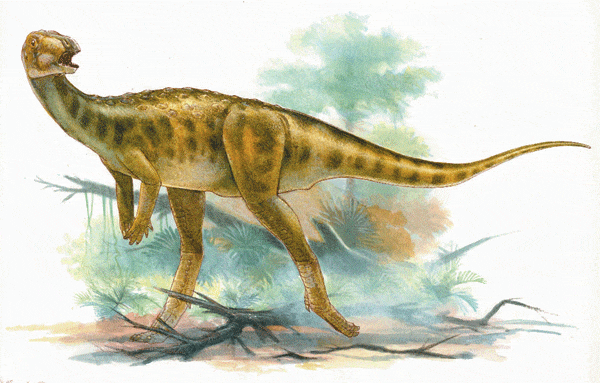 thescelosaurus.