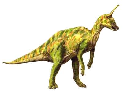 tsintaosaurus.