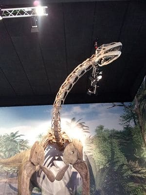 Dinosaure Turiasaurus.