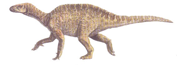 vectisaurus.