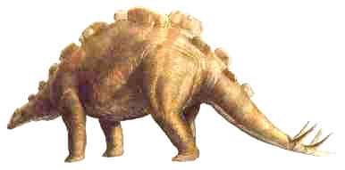 wuerhosaurus.