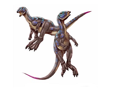 xiaosaurus.