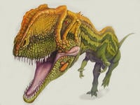 yangchuanosaurus.