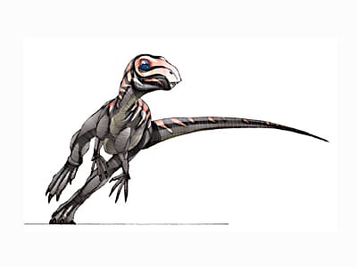 zephyrosaurus.