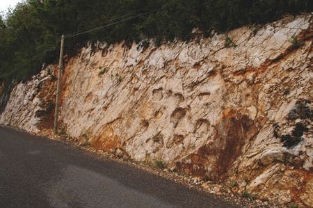 Pistes de pas fossilisés de sauropodes à la surface d’un banc de calcaire tithonien à Coisia (Jura) .