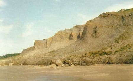 Les falaises des Vaches Noires en Normandie, riches en fossiles.
