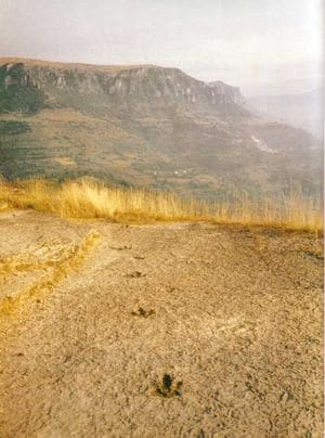 Empreintes de dinosaure à Saint-Laurent-de-Trèves (Lozère).